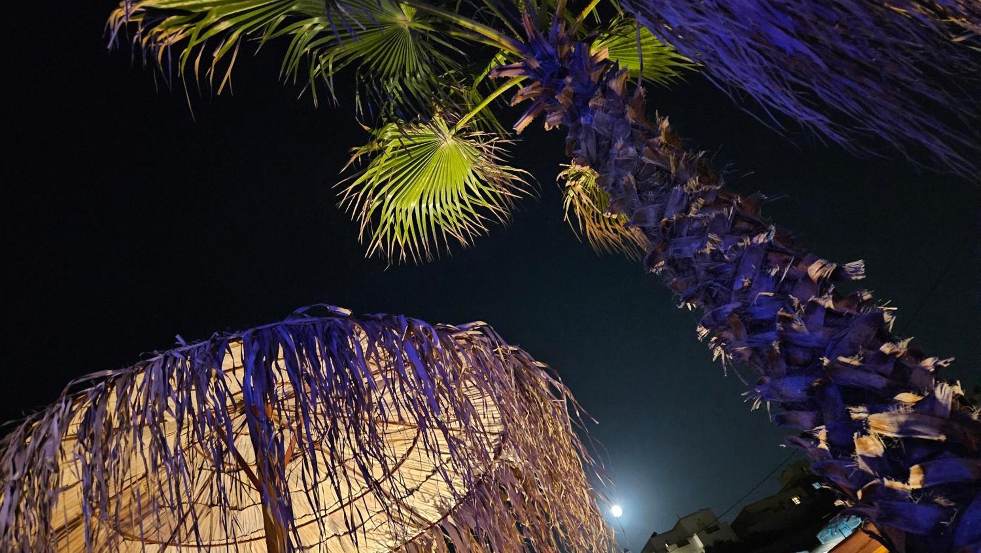 Elli Tropical Suites Mykonos Town Екстериор снимка