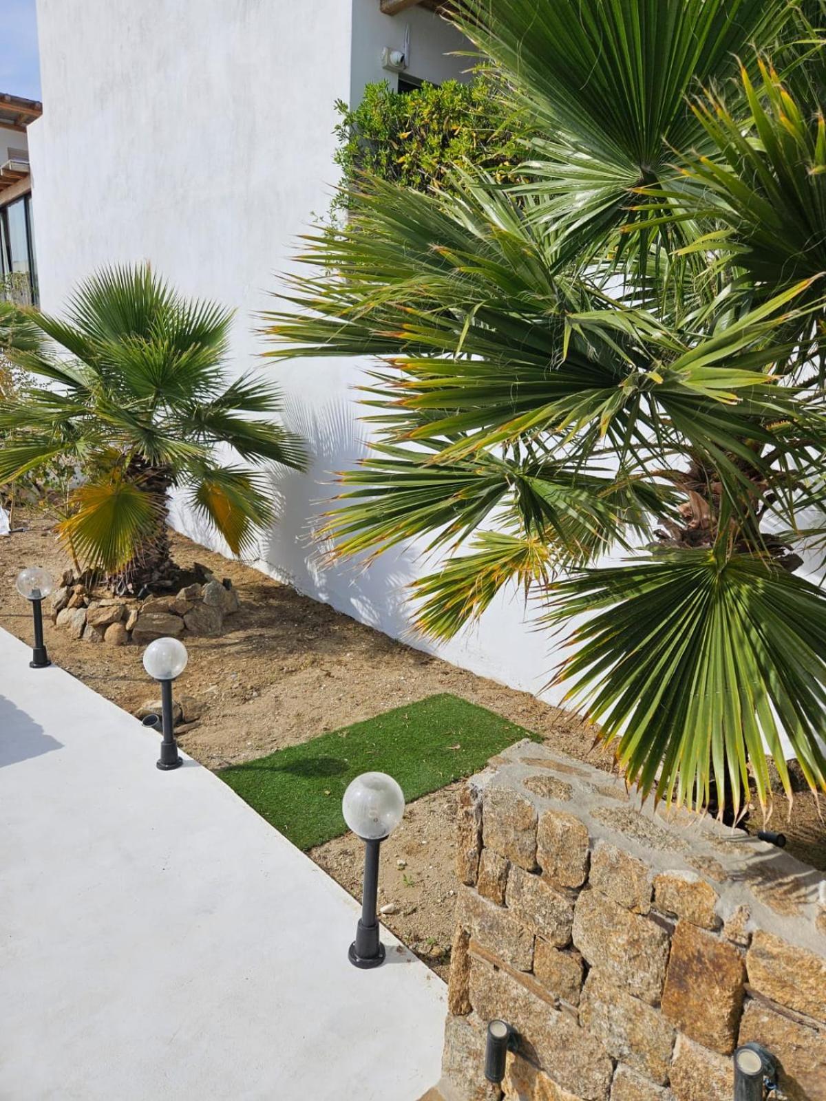 Elli Tropical Suites Mykonos Town Екстериор снимка